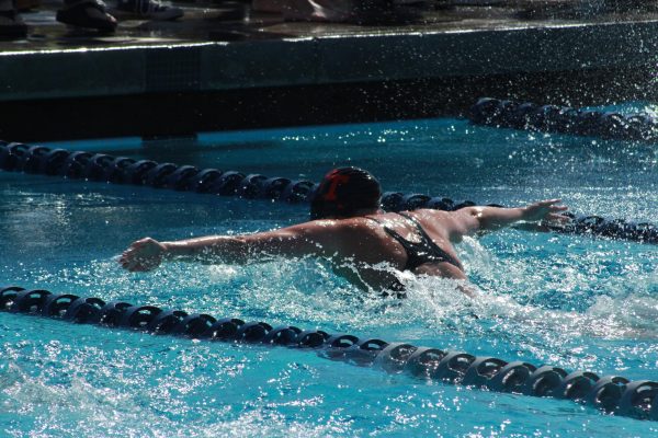 Swim and Dive