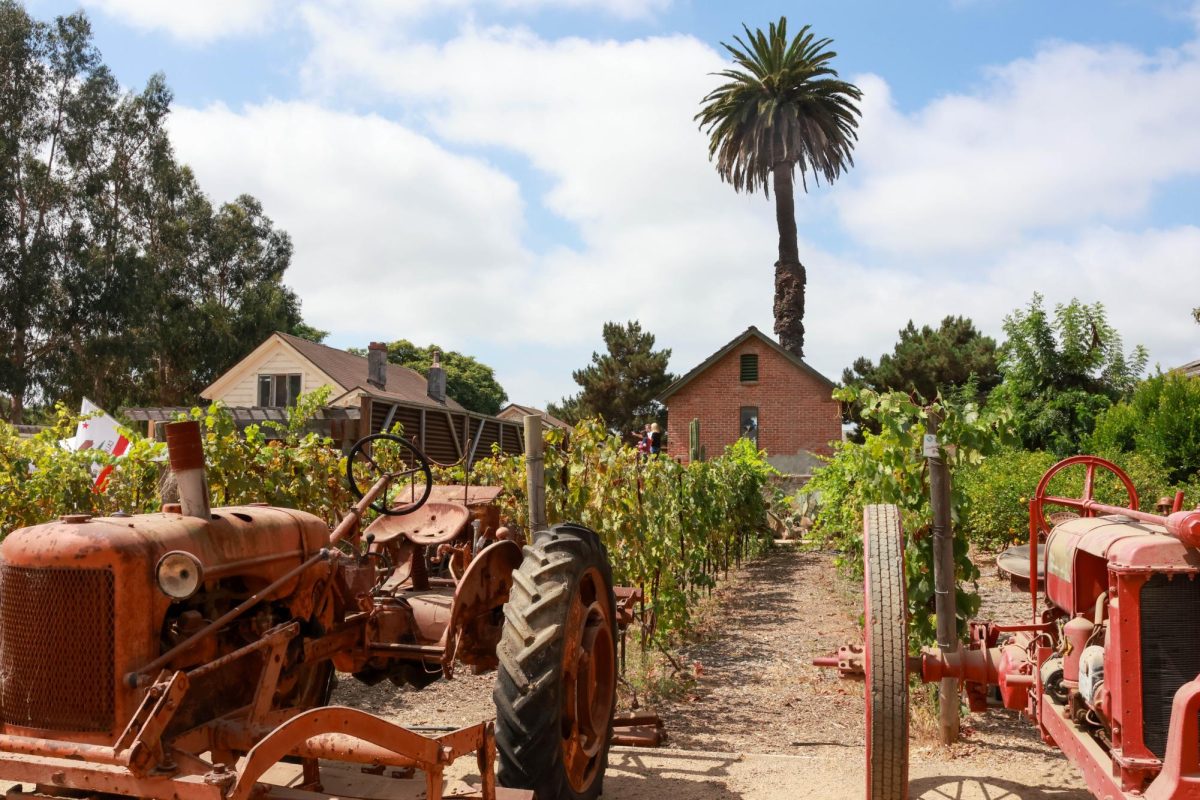 The second annual Lima Bean Festival was held on Sept. 13, 2025, in Oxnard, Calif. Organized by the Oxnard Historic Farm Park, this event serves to honor Oxnard and Ventura County's rich history in the agricultural industry, with the spotlight crop being lima beans. Starting as early as noon, eventgoers enter the park and are greeted with lively music played by Frankie and the Lima Beans, numerous local restaurants take on lima bean dishes, and a wide array of arts and crafts. Those attending were also allowed to grab a copy of a new book published by the director of the park, Jeffery Maulhardt, which covers the impact lima beans have had on California as a whole.