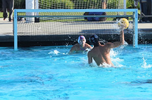 Boys’ water polo bested by Cate