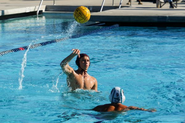 Boys water polo faces tough loss to Malibu