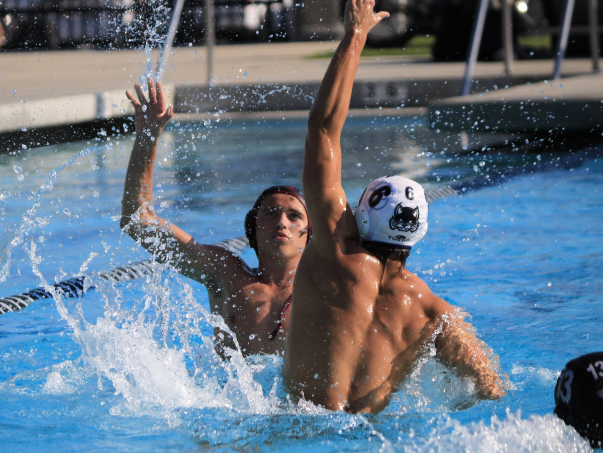 waterpolo1