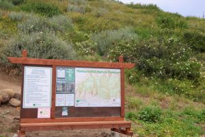 The Ventura Hills Nature Preserve is one of the newest additions to the Ventura County area as of 2026. The Ventura Hills Nature Preserve covers 1,645 acres of land for locals and visitors to go on hikes for miles with the views of the ocean and open grass filled with flowers.