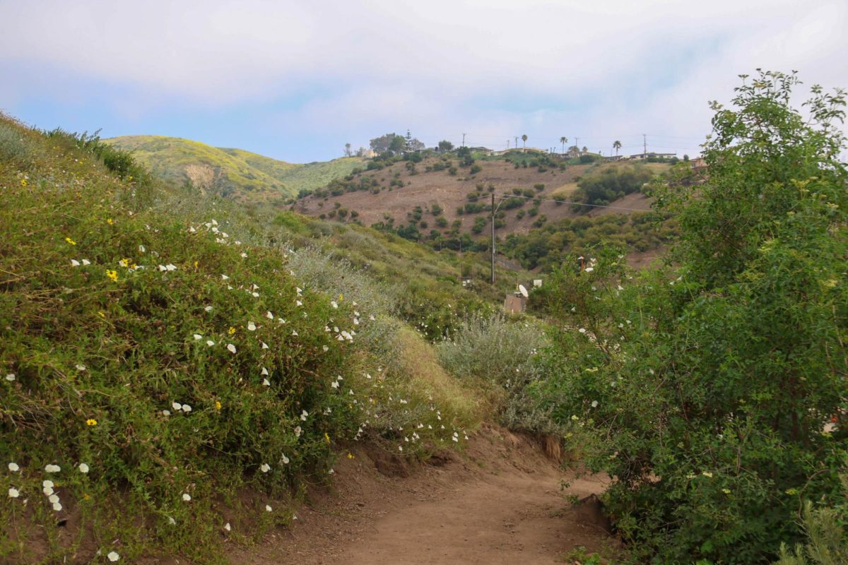 On a cloudy day at the Ventura Hills Nature Preserve, trails are found throughout the preserve with many hikers. This has been a new popular spot for hikers in Ventura County for a good hike with an amazing view.