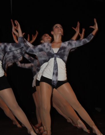 So, you think your school can dance? (19 photos & video)