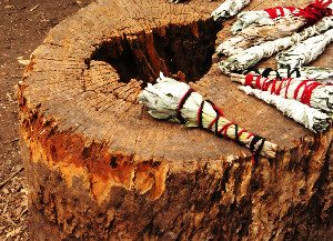 Chumash Indians come to Santa Cruz Island