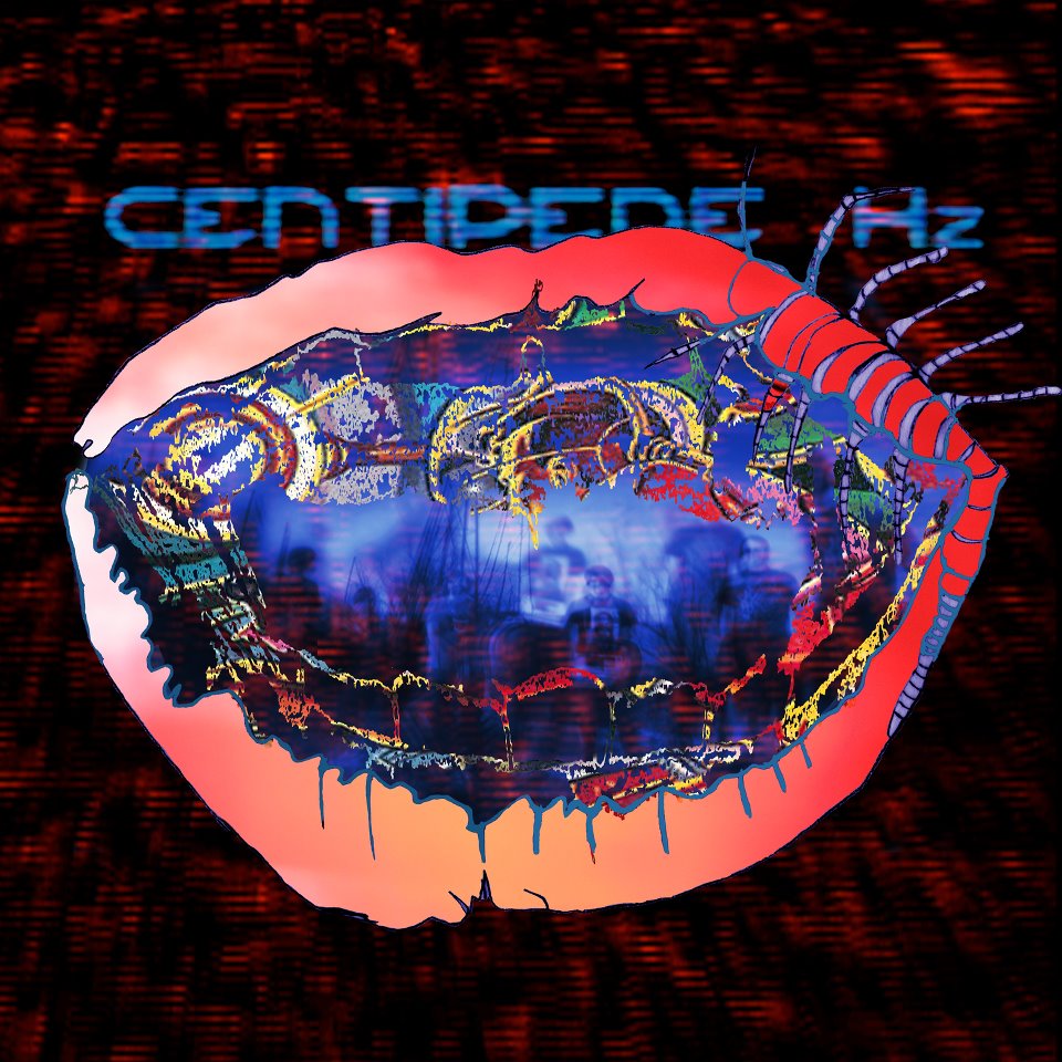 Animal Collective released their new album "Centipede Hz" on August 28, 2012. Credit: Domino