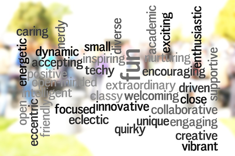 Foothill teachers and students were surveyed on what words they would use to describe the school climate. These are some of the words they chose. Credit: Aysen Tan/The Foothill Dragon Press