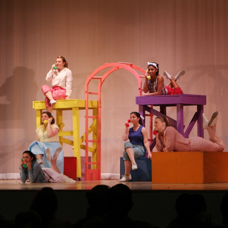 Venture High School students shined in the performance of "Bye Bye Birdie." Credit: Felicia Perez/The Foothill Dragon Press