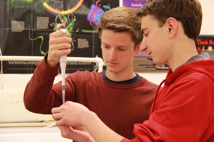 Sophomores Sean Anthony (left) and Ben Newman (right) take part in Bioscience's DNA barcoding project. Credit: Josh Ren/The Foothill Dragon Press